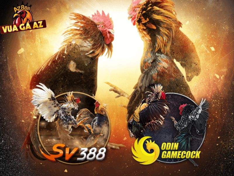 Nắm rõ các hành vi vi phạm bản quyền nhà cái