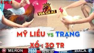 Trận 9 CPC1 Ngày 29/04/2024 - Gà Đá Đòn Độc 30 Giây Dí Bạc 5 Lai