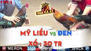 Trận 18 CPC1 01/06/2024 - Mỹ Liều Hết Số Đen, Lụm Luôn Tính Gaking