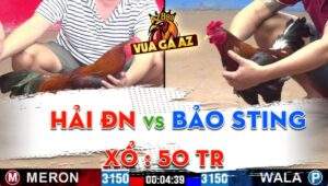 Trận 23 CPC2 23/06/2024 - Bảo Sting Cay Đắng, Thua Trên Thế Thắng