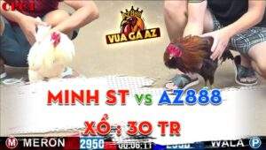 Trận 30 CPC1 03/06/2024 - Tính Gaking Nài Gà AZ888 Suýt Lật Kèo