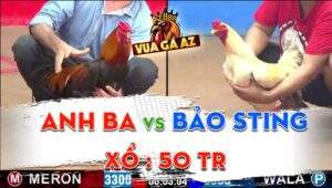 Trận 4 CPC2 09/06/2024 - Bảo Sting Tung Mẻ Bướm Úa Hiệu Ra Trận