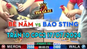 Trận 10 CPC2 17/07/2024 - Gà Chuối Anh Bé 5 Phục Thù Anh Bảo Sting