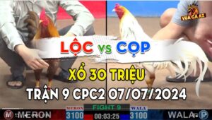 Trận 9 CPC2 07/07/2024 - Gà Anh Cọp Giành Chiến Thắng Đầy Ngoạn Mục