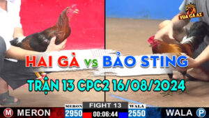 Trận 13 CPC2 16/08/2024 - Đẳng Cấp Ông Hoàng Wala Bảo Sting Có Khác