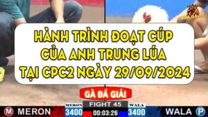 Hành Trình Đoạt Cup Của Anh Trung Lúa Tại CPC2 Ngày 29/09/2024