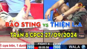 Trận 8 CPC2 27/09/2024 - Gà Bảo Sting Gồng Gánh Cứu Chủ Thành Công