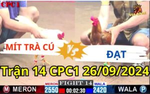 Trận 14 CPC1 26/09/2024 - Mít Trà Cú Hạ Nhanh Gọn Anh Đạt