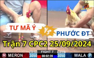 Trận 7 CPC2 25/09/2024 - Anh Tư Mã Ý Và Anh Phước