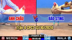 Trận 4 CPC2 13/10/2024 giữa anh Châu và anh Bảo Sting