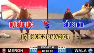 Trận 6 CPC2 13/10/2024 giữa anh Dự Bảo Lộc và anh Bảo Sting
