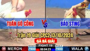 Trận 19 Giải CPC2 13/10/2024 giữa anh Tuấn Gò Công và anh Bảo Sting