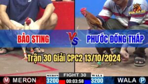 Trận 30 Giải CPC2 13/10/2024 giữa anh Bảo Sting và anh Phước Đồng Tháp