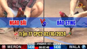 Trận 17 CPC2 02/10/2024 - Bảo Sting Hụt 2000$ Khi Gặp Anh Ngao Bái