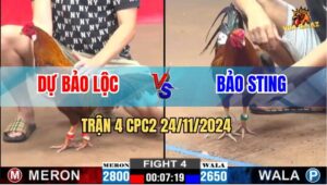 Trận 4 CPC2 24/11/2024 - Khét Hiệu Bảo Lộc Nằm Lại Trước Anh Bảo Sting