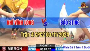 Trận 4 CPC2 03/11/2024 giữa anh Nhí Vĩnh Long và anh Bảo Sting