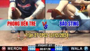 Trận 27 CPC2 13/12/2024 - Điều Cọp Của Anh Bảo Sting Đâm Như Cái Máy