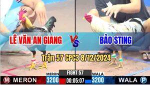 Trận 57 CPC3 8/12/2024 - Anh Bảo Sting Thất Thủ Trước Anh Lê Văn
