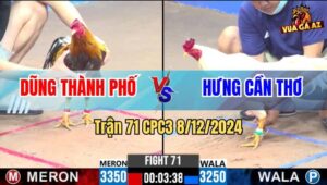 Trận 71 CPC3 8/12/2024 - Gà Bướm Của Anh Hưng Cần Thơ Đâm Cựa Quá Hiểm