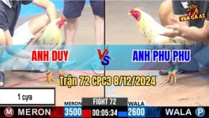 Trận 72 CPC3 8/12/2024 - Gà Anh Phu Phu Nhẹ Hơn 9 Chấm Lụm Gọn Đối Thủ