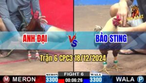 Trận 6 CPC2 18/12/2024 - Mẻ Chuối Của Bảo Sting Hôm Nay Tiếp Tục Bị Hạ