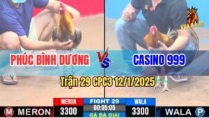 Trận 29 Giải CPC3 12/1/2025 - Anh Phúc Bình Dương Đối Đầu Casino 999