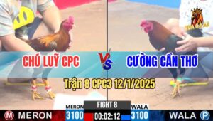 Trận 8 CPC3 12/1/2025 - Gà Anh Cường Cần Thơ Nạp Phát Nào Thấm Phát Đó