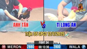Trận 35 CPC3 12/1/2025 - Gà Anh Bướm Ti Long An Xé Xác Gà Que Anh Tấn