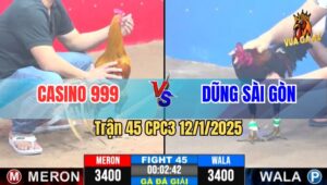 Trận 45 Giải CPC3 12/1/2025 - Casino 999 Vs Dũng Sài Gòn