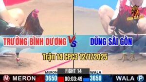 Trận 14 CPC3 12/1/2025 - Trường Bình Dương Và Dũng Sài Gòn Xổ 500 Triệu