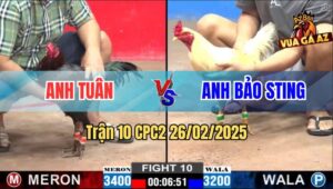 Trận 10 CPC2 26/2/2025 - Hẻ Hiệu Anh Bảo Sting Đá Như Điện Giật