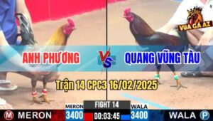 Trận 14 CPC3 16/2/2025 - Khi Hai Ông Lớn Gặp Nhau Trên Sân Đấu