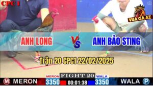 Trận 20 CPC1 22/2/2025 - Anh Long Hạ Đẹp Anh Bé Trong Tay Nước Đầu