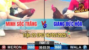 Trận 22 CPC3 16/2/2025 - Đỏ Bao Bồ Bị Xanh Đá 3 Chân Bay Hơn 2 Tỏi