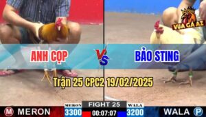 Trận 25 CPC2 19/2/2025 - Bảo Sting Sửa Bướm Ói Thành Công Hoà Anh Cọp
