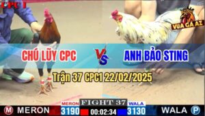 Trận 37 CPC1 22/2/2025 - Anh Bảo Sting Tiếp Tục Hạ Chú Lũy Campuchia