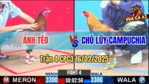 Trận 4 CPC3 16/2/2025 - Cánh Gà Việt Đá Gãy Chân Cánh Gà Campuchia