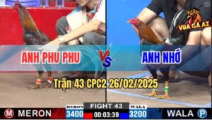 Trận 43 CPC2 26/2/2025 - Gà Anh Phu Phu Đá Gà Anh Nhớ Té Xì Cơm