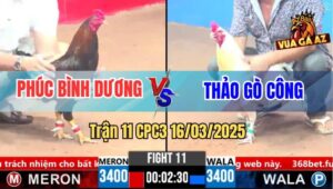 Trận 11 CPC3 16/3/2025 - Chú Phúc Bị Anh Thảo Gò Công Gạt Giò