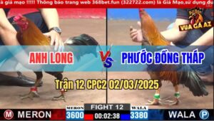 Trận 12 CPC2 2/3/2025 - Gà Anh Phước Kém 2 Chấm Lụm Gọn Gà Anh Long