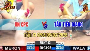 Trận 13 CPC3 8/3/2025 - Khét Anh Tân Dí Bạc Bị Bướm Anh Un Giết Ngược