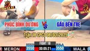 Trận 18 CPC3 8/3/2025 - Khét Cọp Chú Phúc Bình Dương Lụm Xổ Anh Gấu