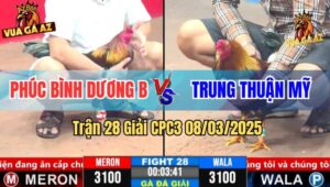 Trận 28 Giải CPC3 8/3/2025 - Phúc Bình Dương B Vs Trung Thuận Mỹ