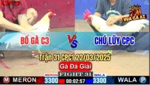 Trận 31 CPC1 22/3/2025 - Bồ Gà C3 Gặp Chú Lũy Campuchia