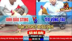 Trận 33 CPC2 30/3/2025 - Anh Bảo Sting Và Anh Tèo Vũng Tàu