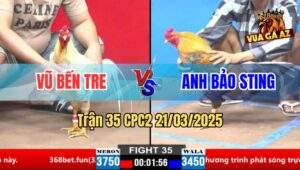 Trận 35 CPC1 21/3/2025 - Gà Bướm Đá Chân 1 Gà Cú Anh Bảo Sting Bỏ Mạng