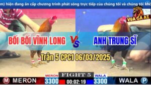 Trận 5 CPC1 6/3/2025 - Gà Bối Bối Bị Đâm Trung Điểm G Ho Ra Máu