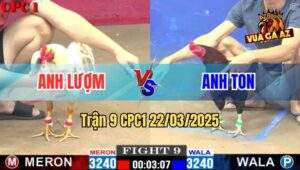 Trận 9 CPC1 22/3/2025 - Điều Anh Ton Đá Bát 1 Ga Bướm Hết Sống