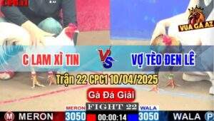 Trận 22 CPC1 10/4/2025 - Chị Lam Xì Tin Và Vợ Tèo Đen Lê