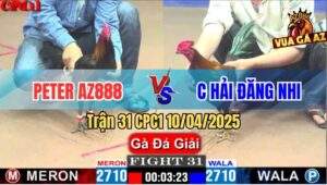 Trận 31 CPC1 10/4/2025 - Peter AZ888 Và Chị Hải Đăng Nhi
